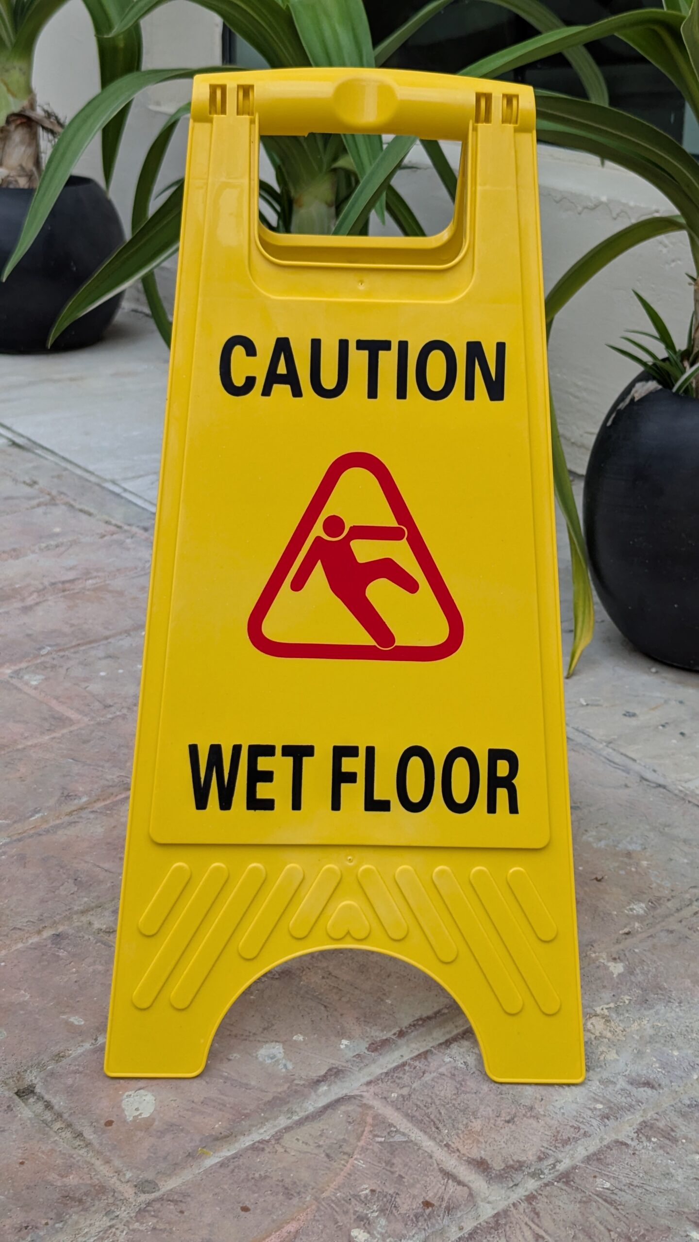 PXL_20250731_165046728.MP